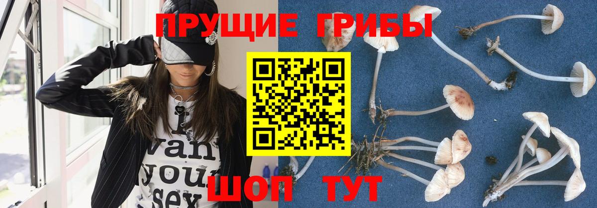 Псилоцибиновые грибы MAGIC MUSHROOMS Кизилюрт