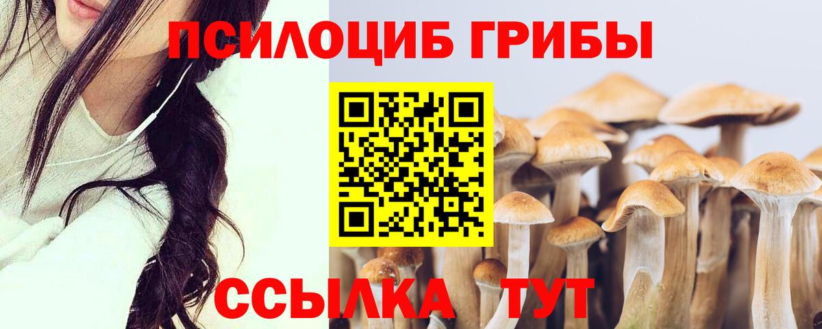 Кизилюрт  Псилоцибиновые грибы MAGIC MUSHROOMS  Псилоцибиновые грибы прущие грибы  Вход с VPN 